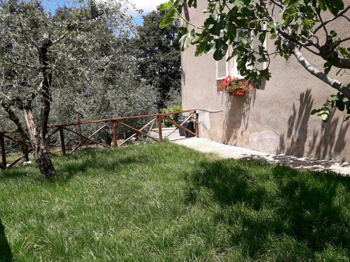 Alle Preci Country House Santa Restituta Exterior photo